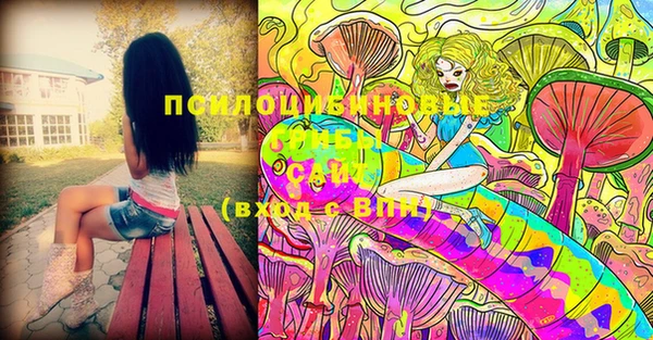 PSILOCYBIN Абаза
